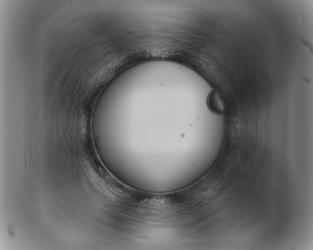 X0000103150639200809051638