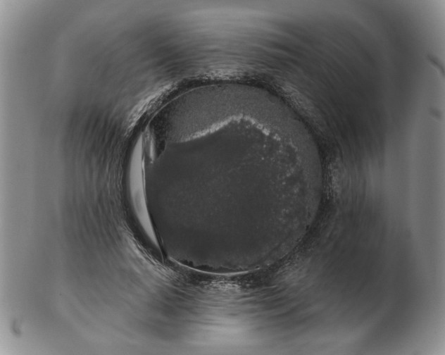 X0000103150640200809051638