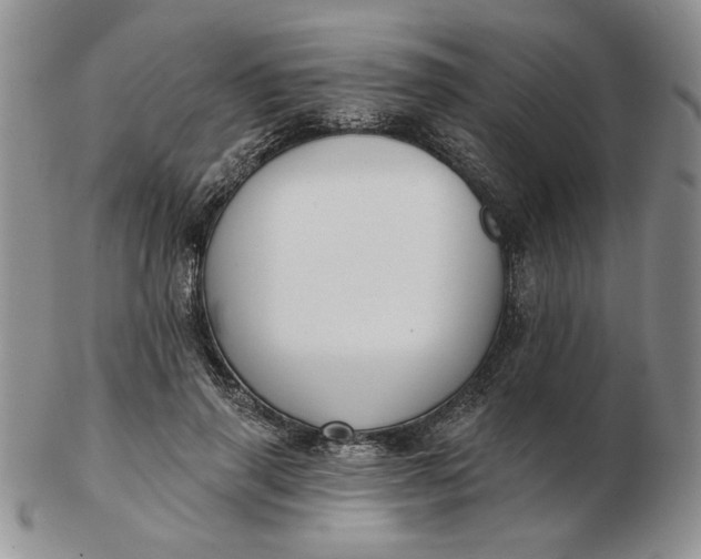 X0000103150645200809051638