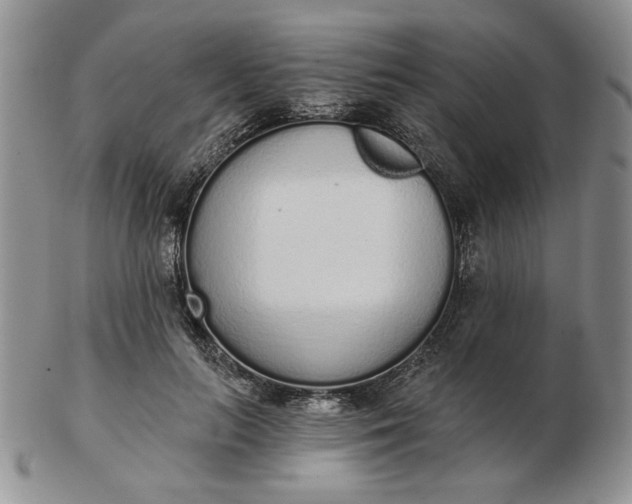 X0000103150647200809051638