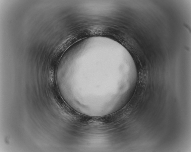 X0000103150648200809051638