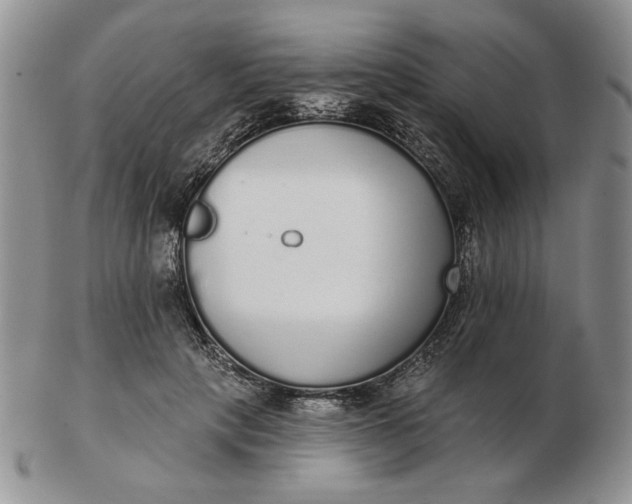 X0000103150649200809051638