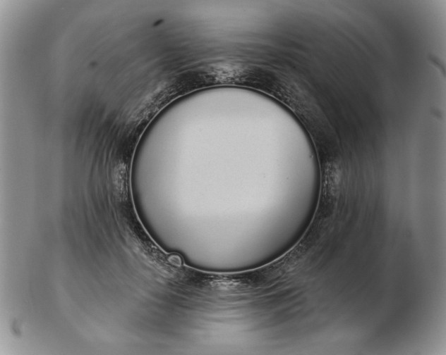 X0000103150650200809051638