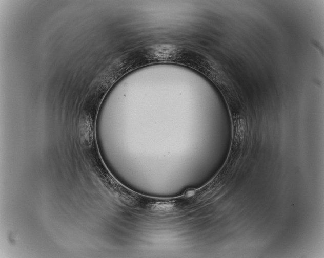 X0000103150651200809051638