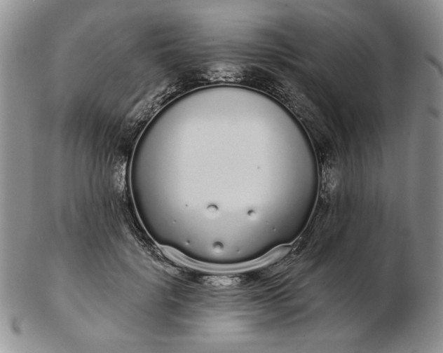 X0000103150652200809051638