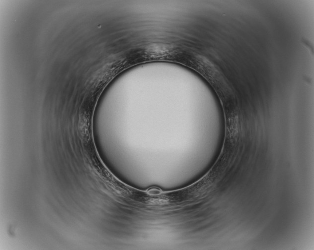 X0000103150653200809051638