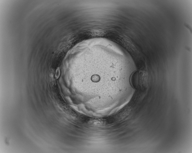 X0000103150655200809051638