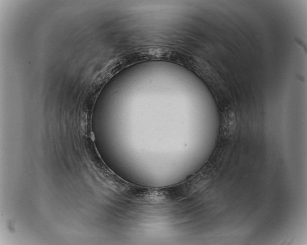 X0000103150656200809051638