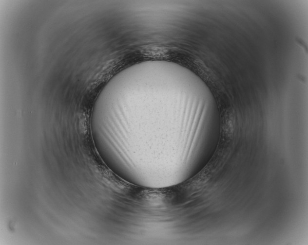 X0000103150658200809051638