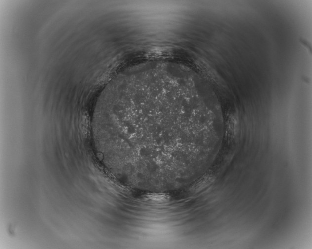 X0000103150659200809051638