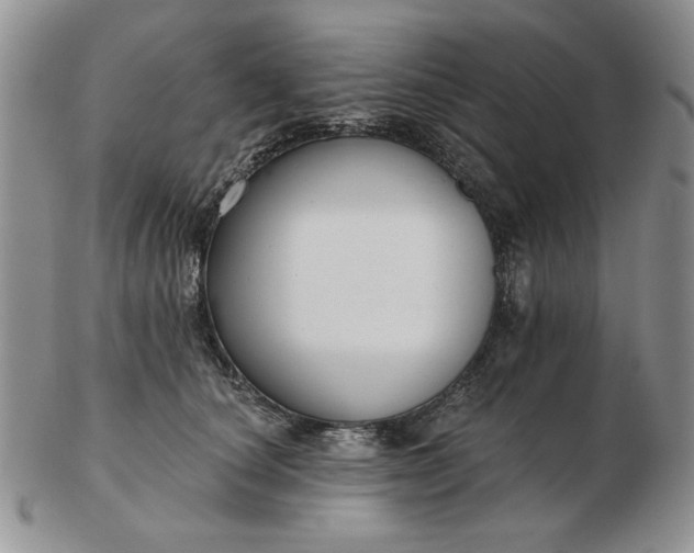 X0000103150660200809051638