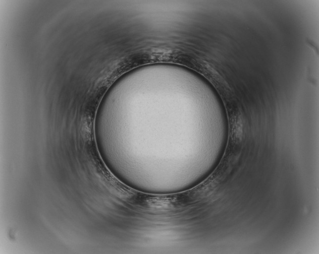 X0000103150661200809051638