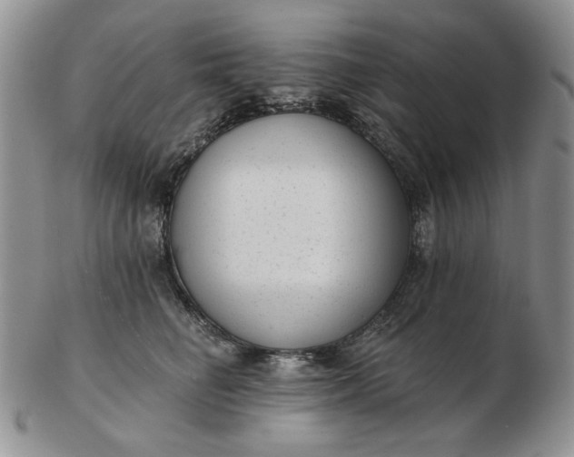 X0000103150662200809051638