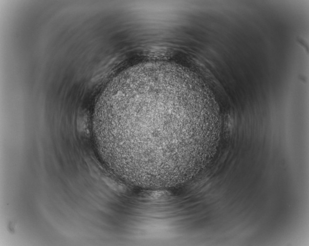 X0000103150663200809051638