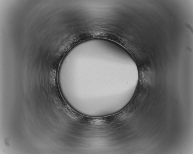 X0000103150664200809051638