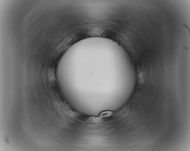 X0000103150665200809051638