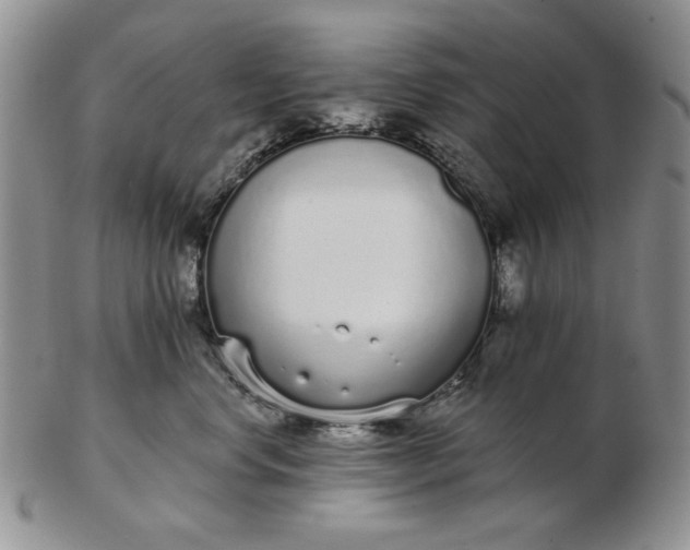 X0000103150668200809051638