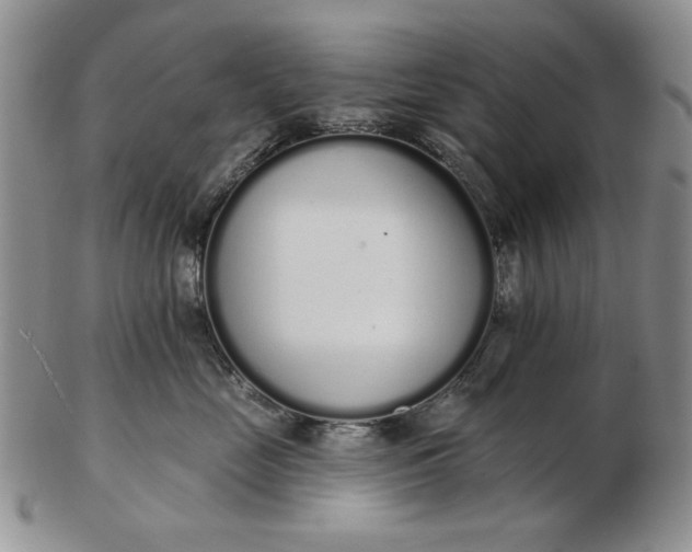 X0000103150669200809051638