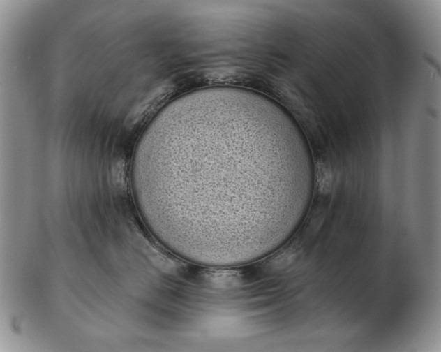 X0000103150670200809051638