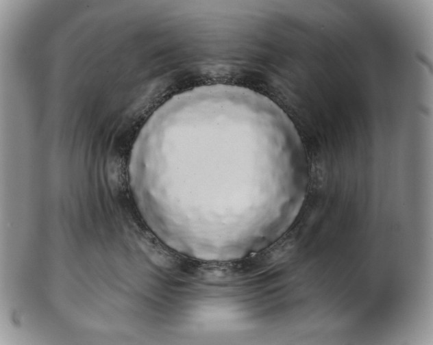 X0000103150671200809051638