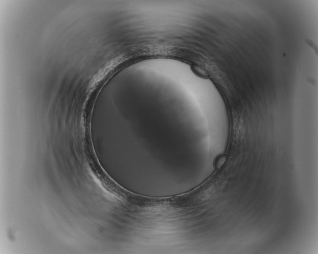 X0000103150674200809051638