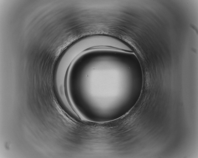 X0000103150677200809051638