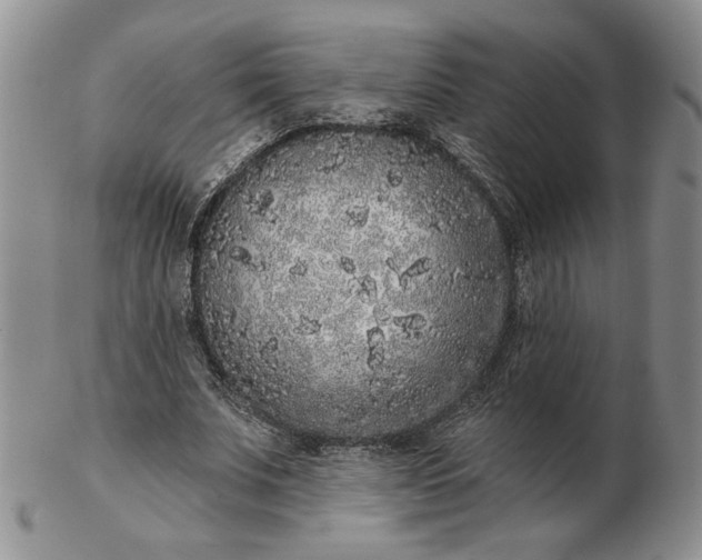 X0000103150679200809051638