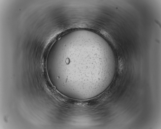 X0000103150680200809051638