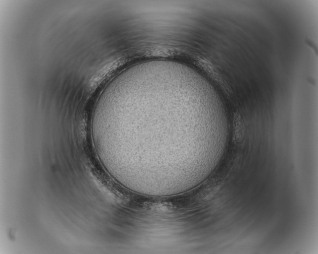 X0000103150683200809051638