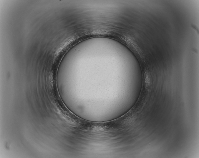 X0000103150684200809051638