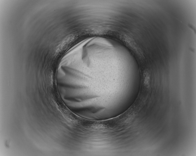 X0000103150685200809051638