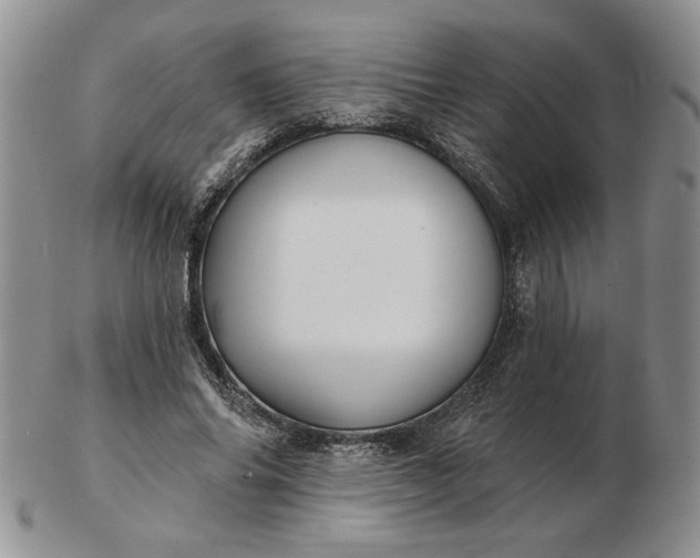 X0000103150686200809051638