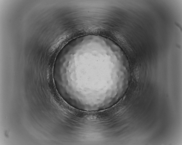 X0000103150687200809051638