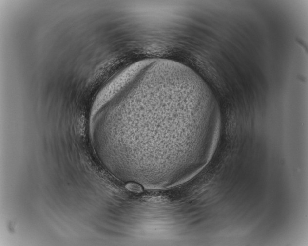 X0000103150689200809051638