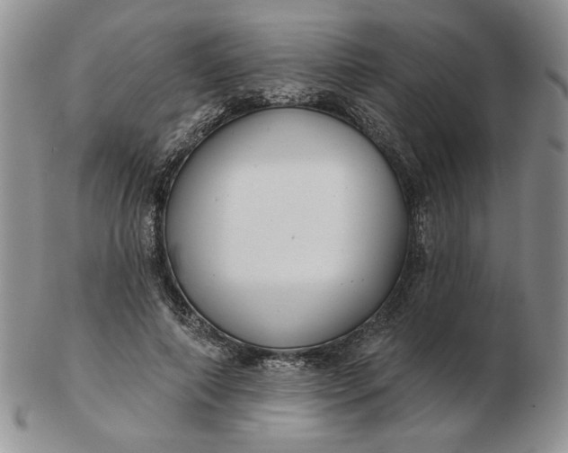 X0000103150690200809051638