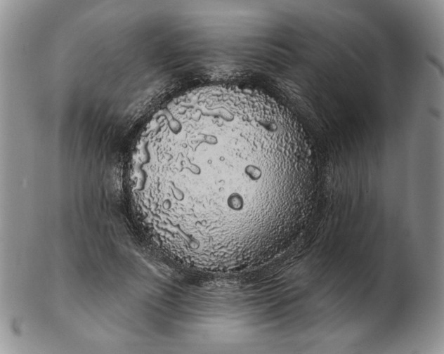 X0000103150691200809051638