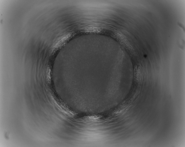 X0000103150692200809051637