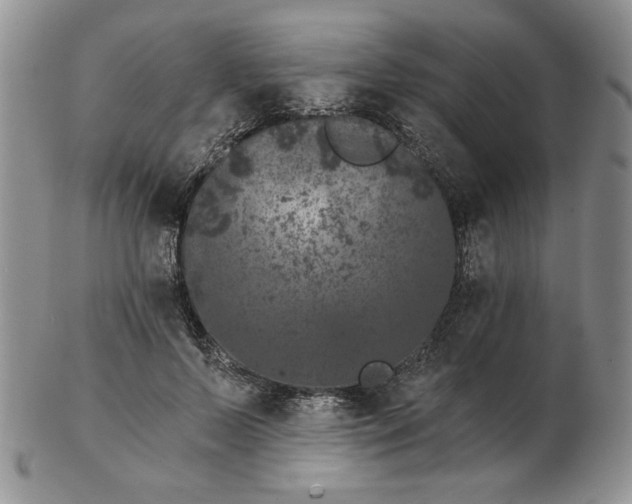 X0000103150695200809051637