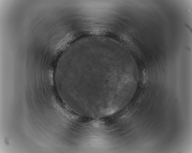 X0000103150696200809051637