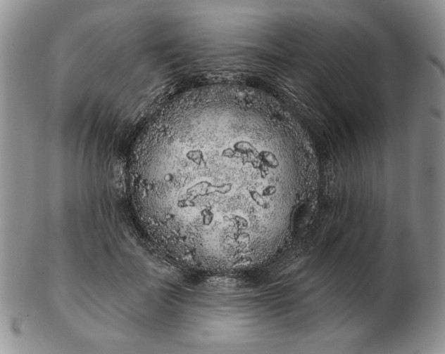 X0000103150699200809051637