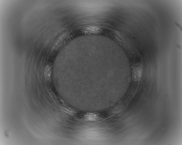 X0000103150701200809051637