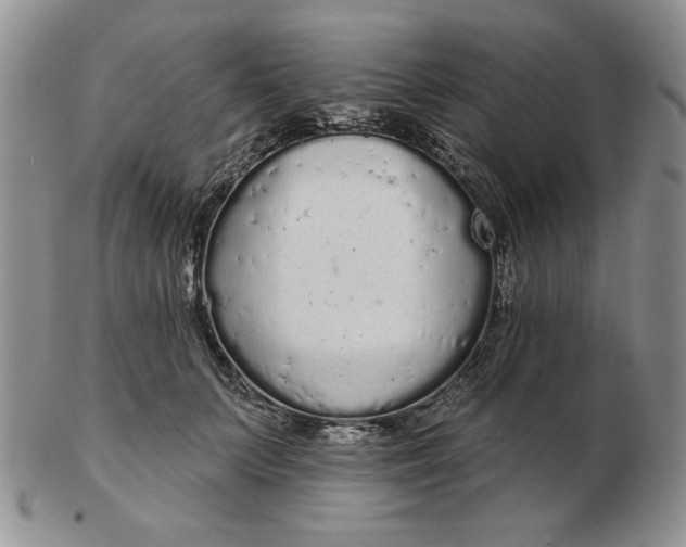 X0000103150703200809051637