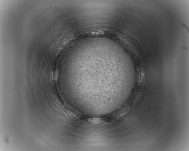 X0000103150704200809051637