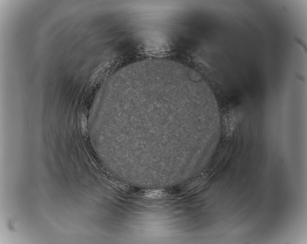 X0000103150705200809051637