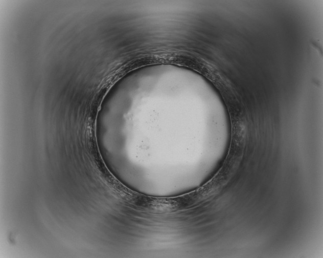 X0000103150707200809051637