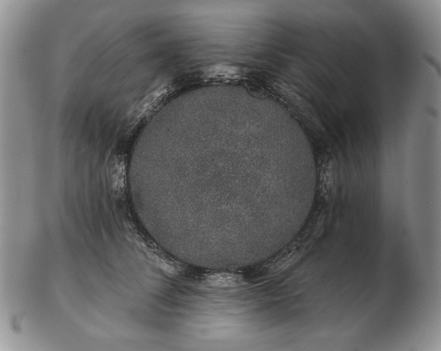 X0000103150708200809051637