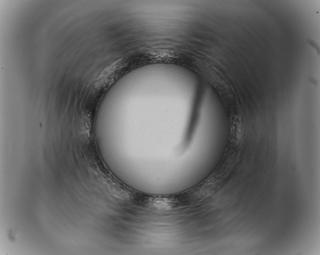 X0000103150710200809051637