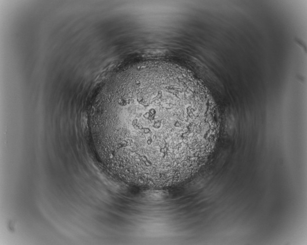 X0000103150711200809051637