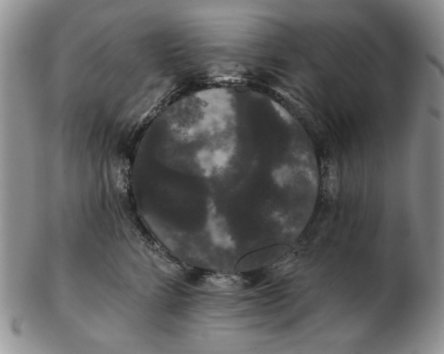 X0000103150712200809051637