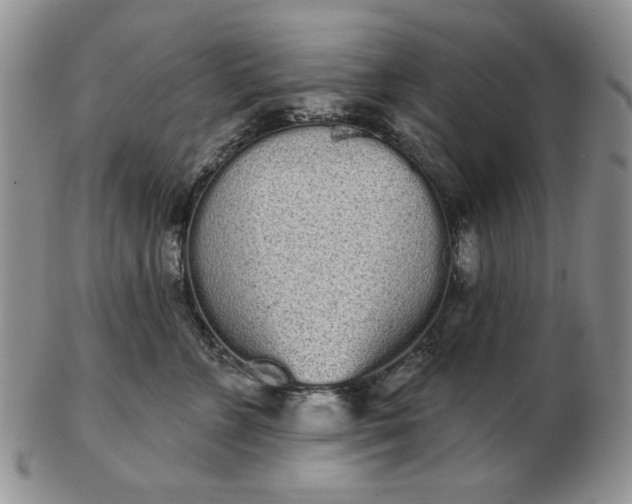 X0000103150715200809051637